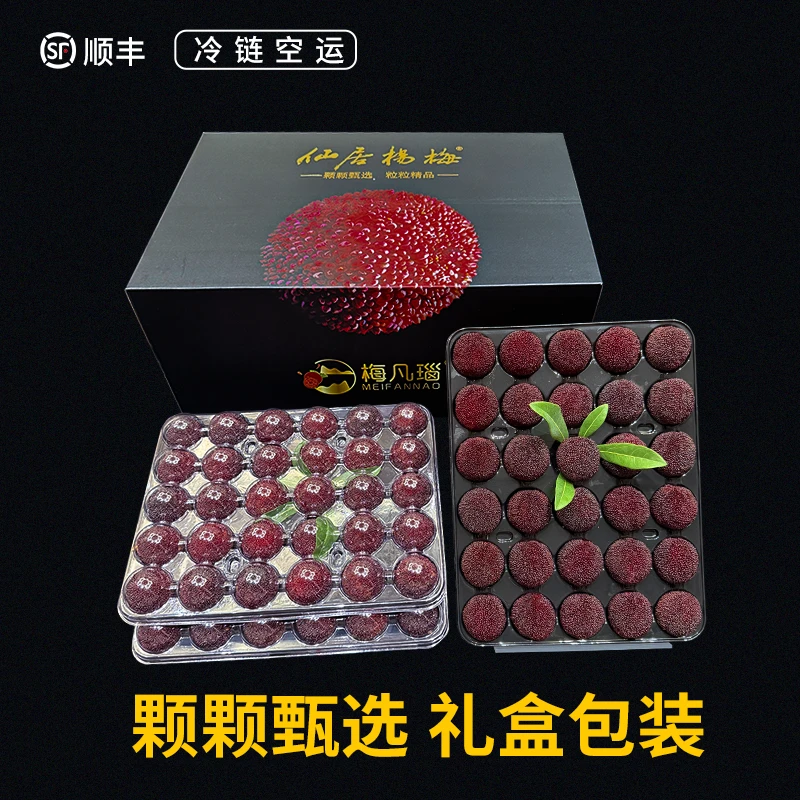【9A20-25g仙居杨梅】东魁杨梅新鲜发货空运现摘现发顺丰包邮到家