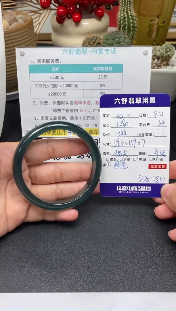 未镶嵌手镯翡翠好*好D2517810