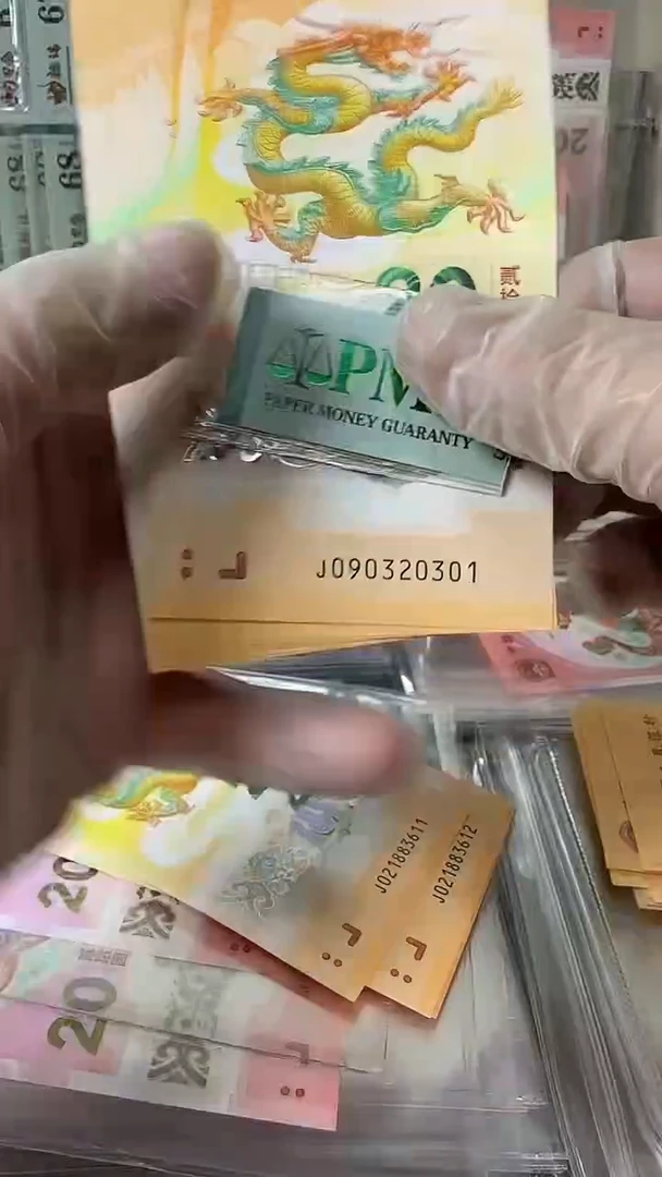 塑料090320301龙钞标十包PMG