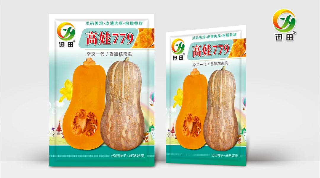 高娃779香甜糯南瓜种子云南现摘新鲜蜜本南瓜正宗老南瓜蔬菜种籽