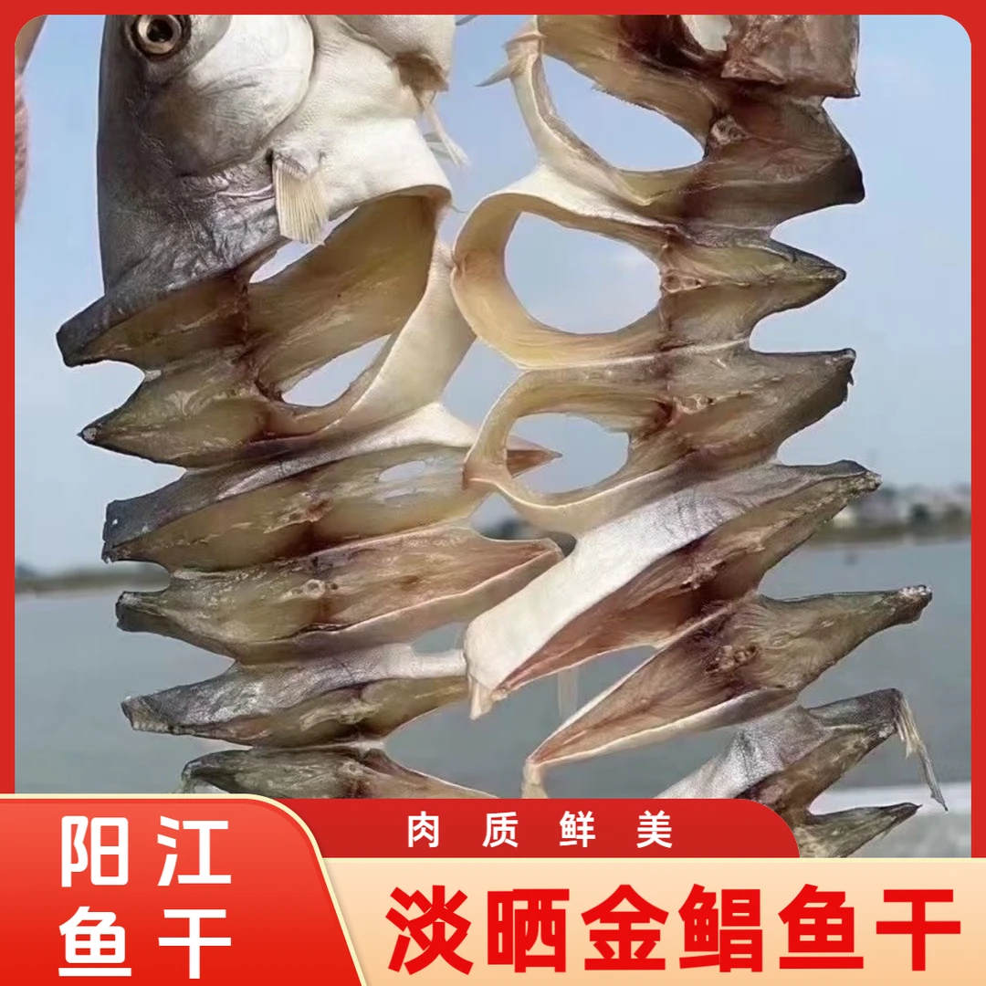 广东阳江特产金鲳鱼干5条装 农家渔民鱼干干货新鲜特大淡晒海产