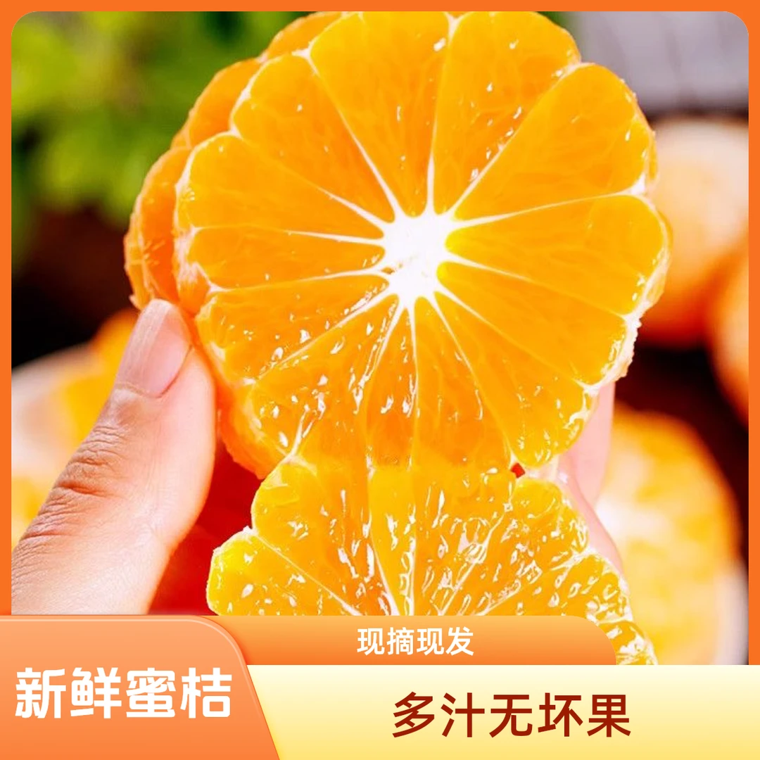 【顺丰包邮】高山蜜桔酸甜爆汁易撕皮无籽橘子农家自种