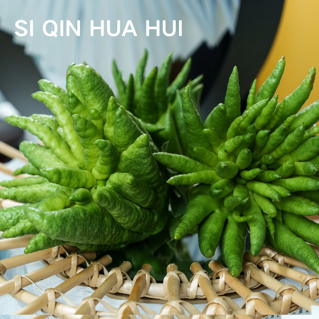 【思芹花卉|佛手一物一拍】天然香薰存放时间长可做干花顺丰包邮