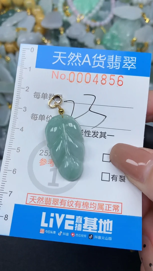 颈饰未镶嵌翡翠净货挂件-4856