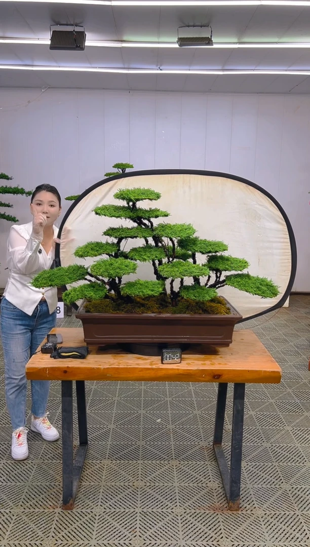 无花朵一物一拍一物一拍