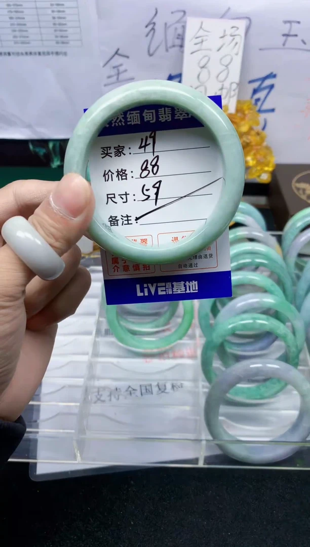 未镶嵌手镯翡翠49