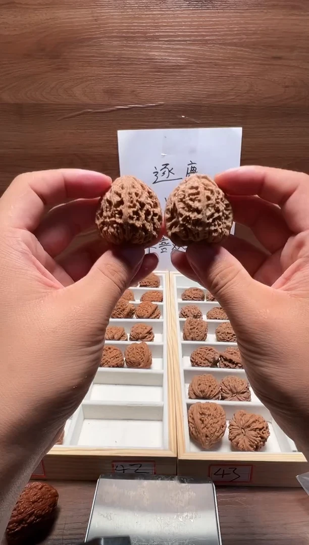 把件文玩核桃39.5逐鹿南疆石