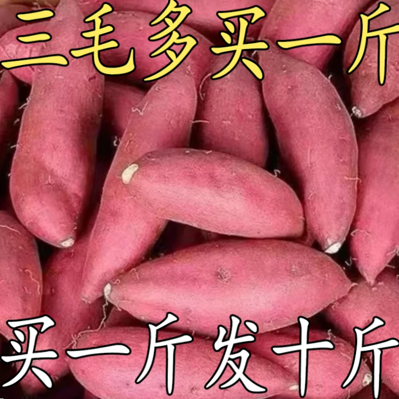 【新店福利】超甜正宗蜜薯地瓜新鲜蜜薯黄心板栗薯番薯烟薯