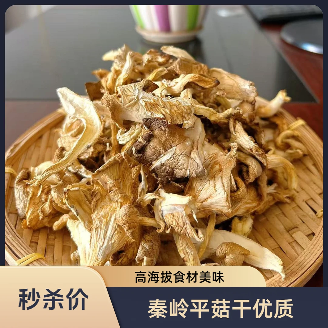 秦岭高海拔优质平菇干