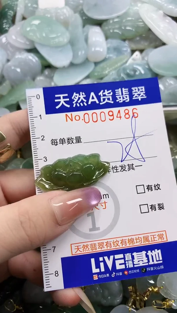 颈饰未镶嵌翡翠天然A货翡翠