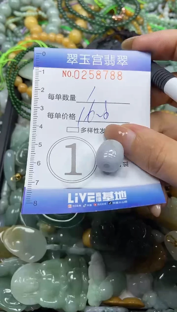 颈饰未镶嵌翡翠闪购C0258788