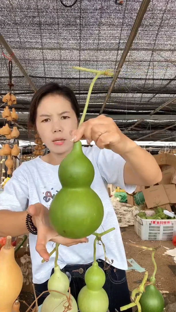 744天然葫芦摆件 一物一拍龙头不保售后