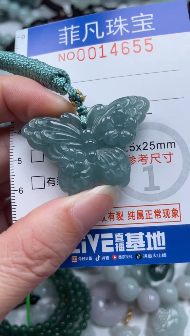 颈饰未镶嵌翡翠14565