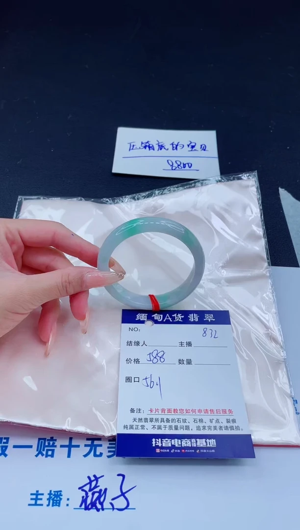 未镶嵌手镯翡翠0