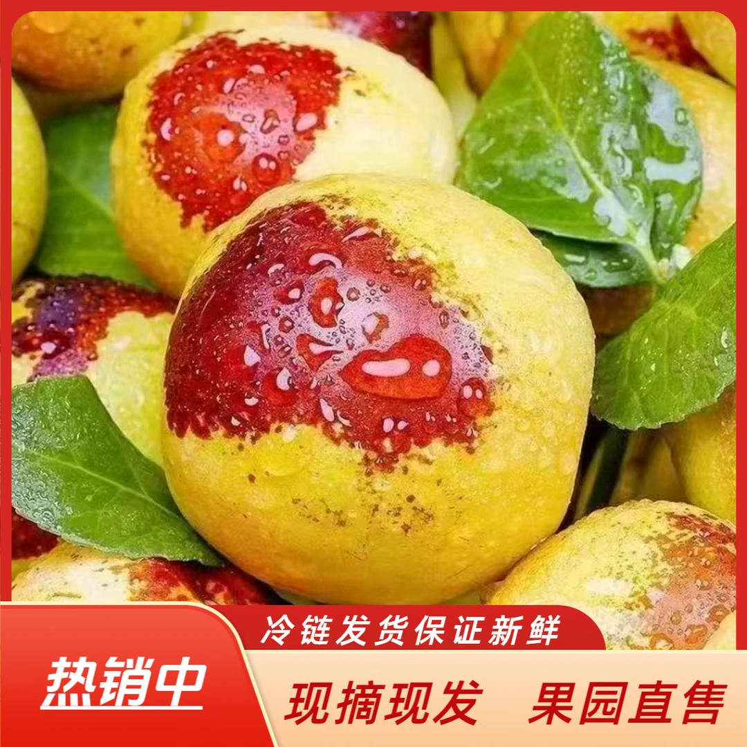 沾化脆甜冰糖冬枣当季新鲜自然成熟水果
