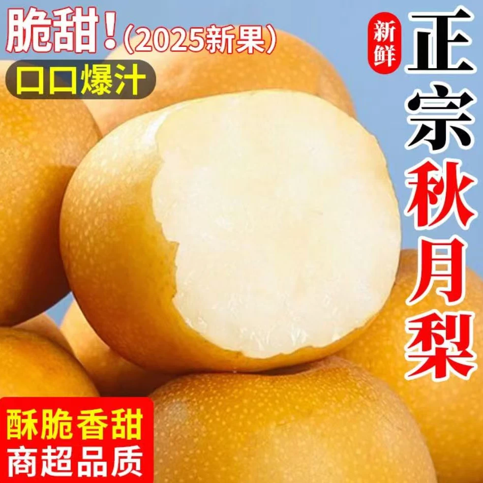 【彩箱】山东烟台秋月梨当季新鲜现摘脆甜多汁皮薄肉厚新鲜水果4.5