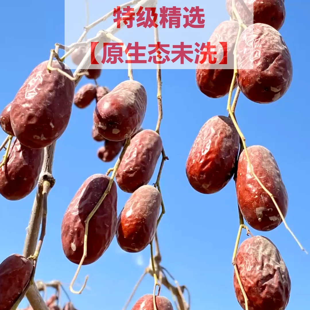 【新疆特级红枣】24年厂家直销新疆和田大枣大个枣新疆大枣若羌灰枣