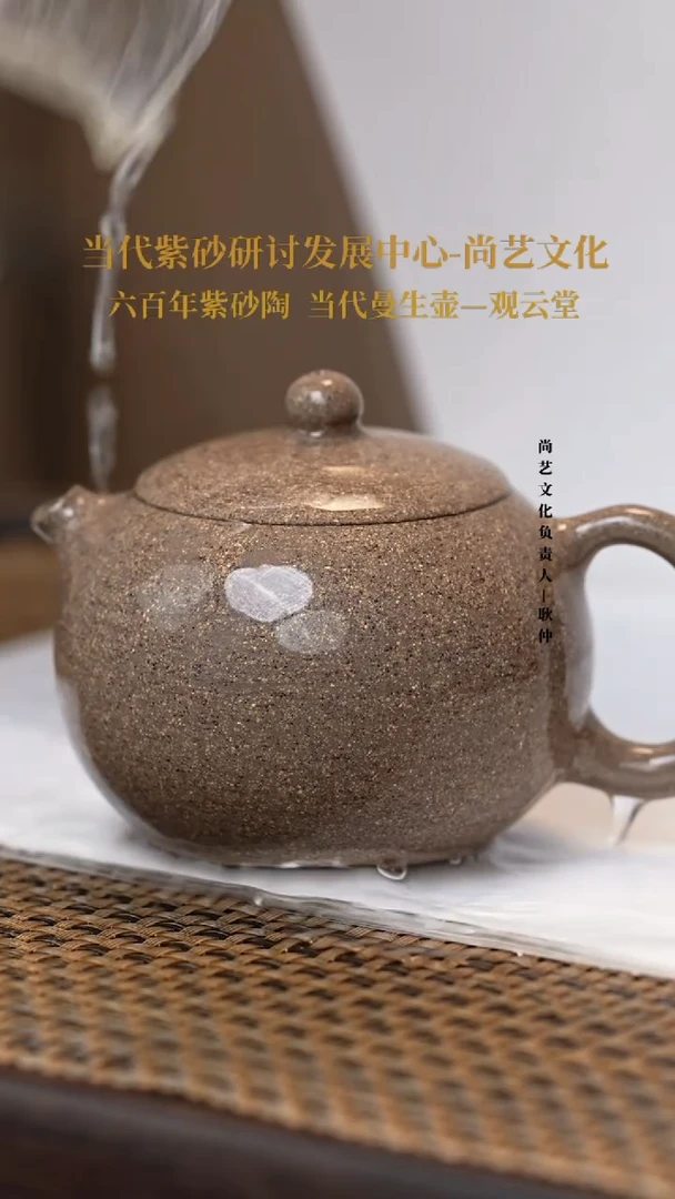 茶壶紫砂宜兴紫砂 紫砂壶  FWH  西施 芝麻段