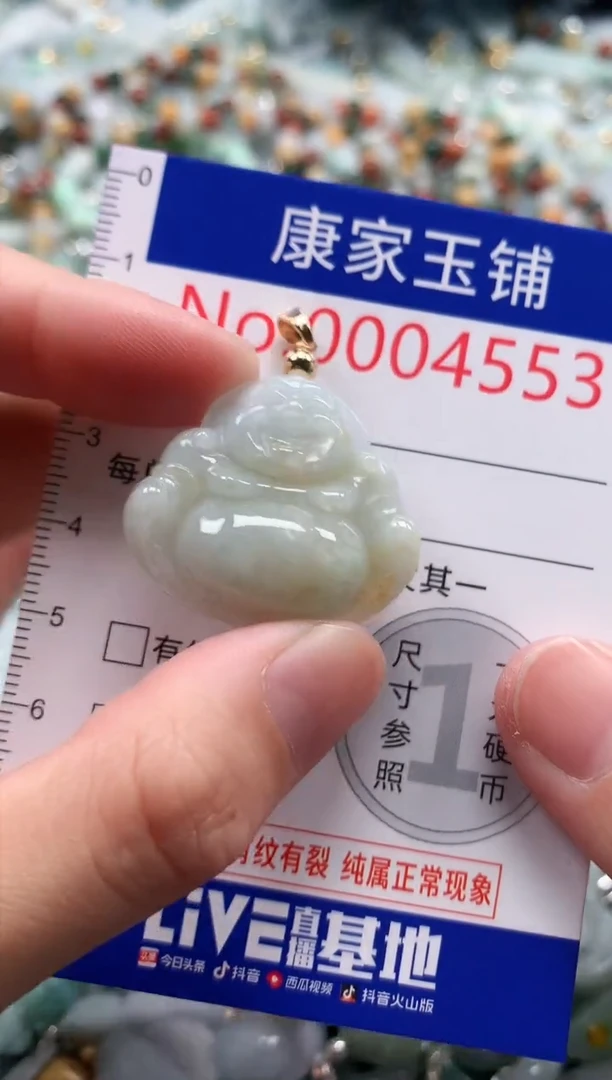 翡翠未镶嵌吊坠(不含链)4553