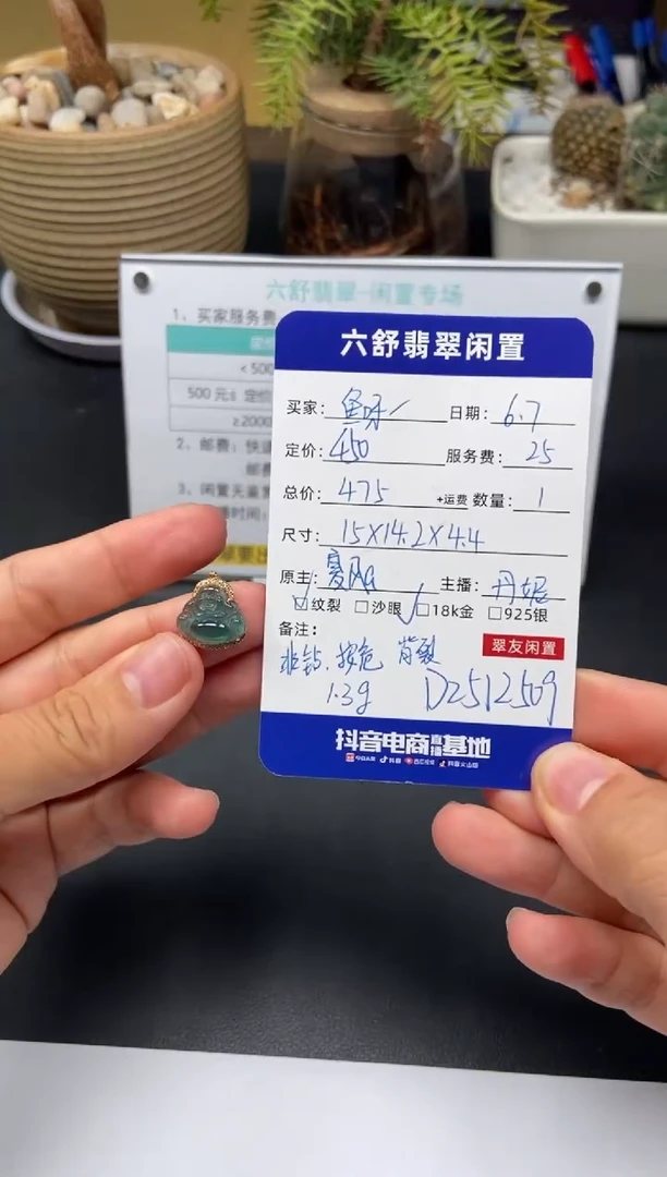 翡翠18K金镶嵌颈饰D2512509