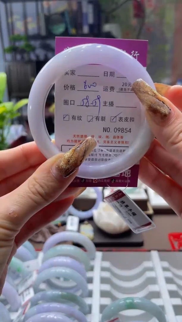 未镶嵌手镯翡翠9854****