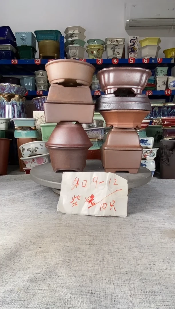 251703十只柴烧开播福利