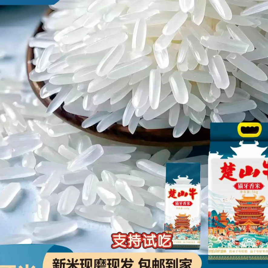 楚山牛 高山长粒香 猫牙香米（家庭必备）