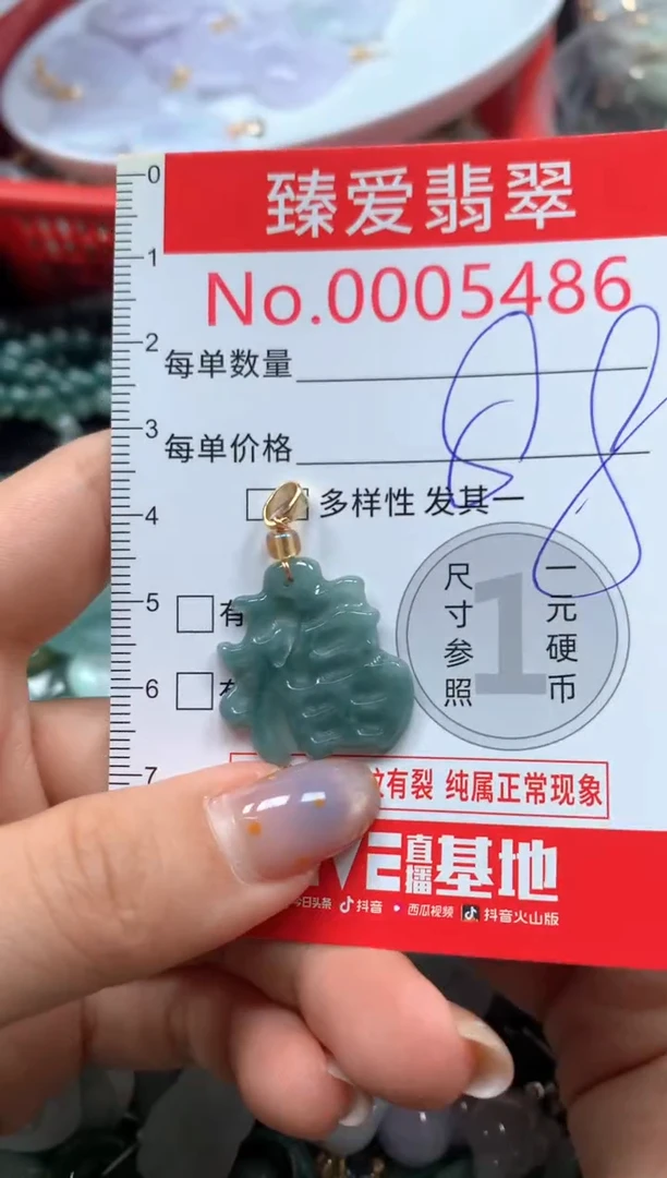翡翠未镶嵌颈饰5486