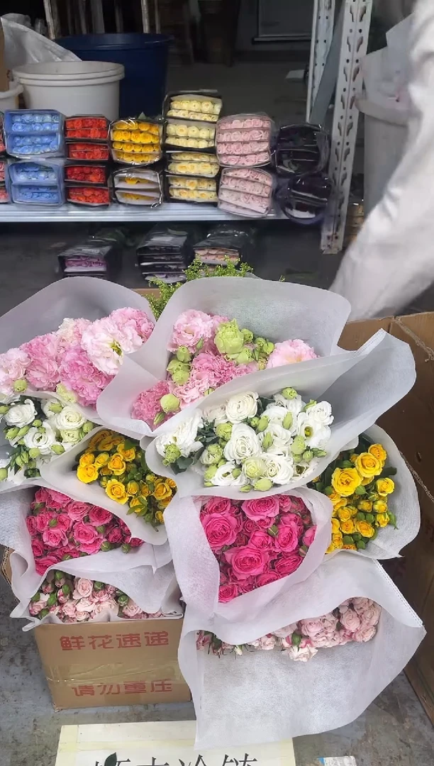 折射10枝+苏菲10枝+梦幻芭比10枝+白桔梗400克+阳光粉400克+黄莺