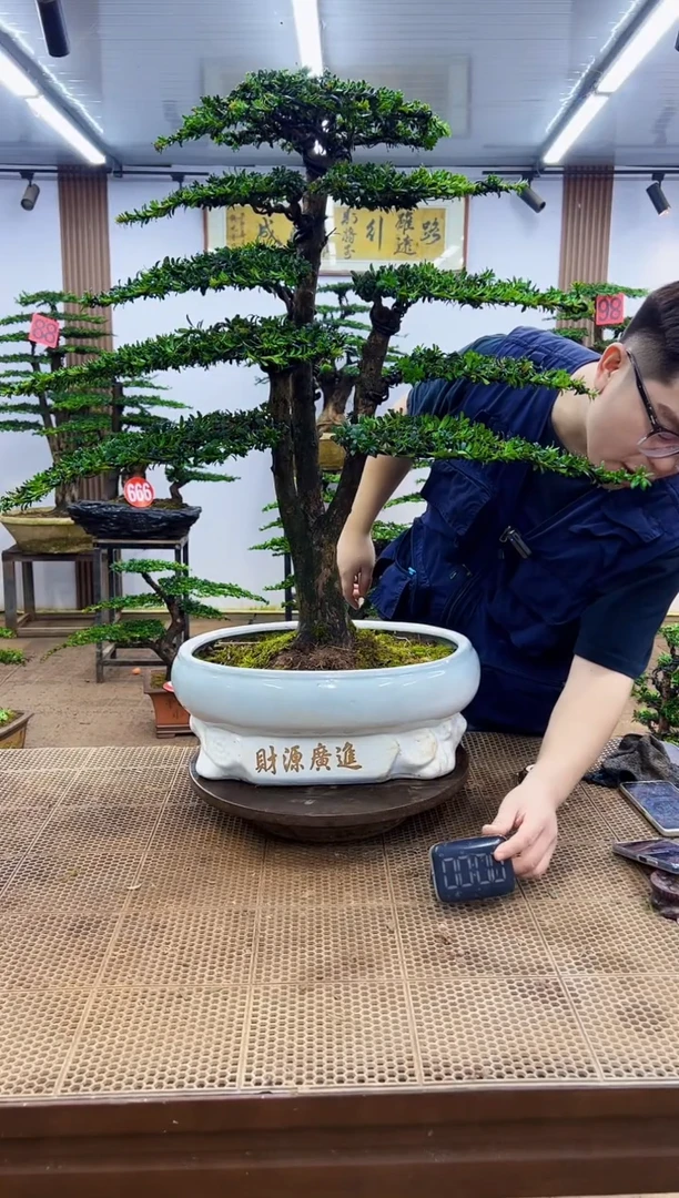 无花朵一物一拍，所见即所得