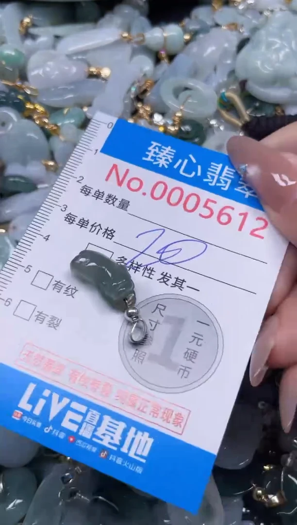 颈饰未镶嵌翡翠5612