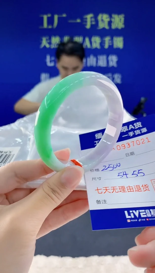 未镶嵌手镯翡翠21