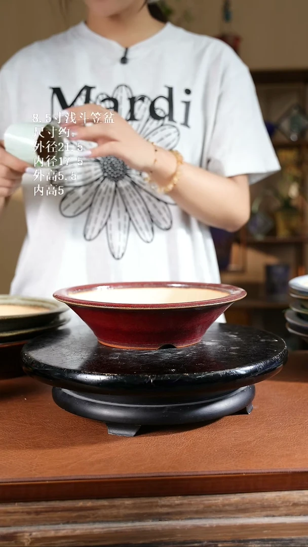 8.5寸浅斗笠盆 家居级900