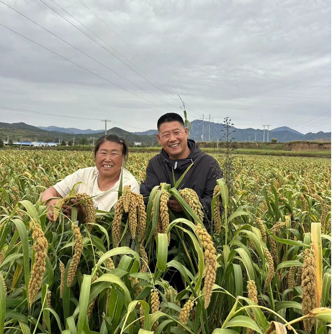 农家小米5斤包邮