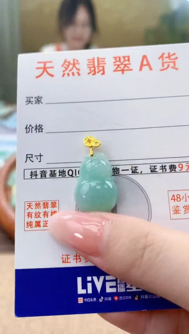 颈饰未镶嵌翡翠天然A货翡翠挂件