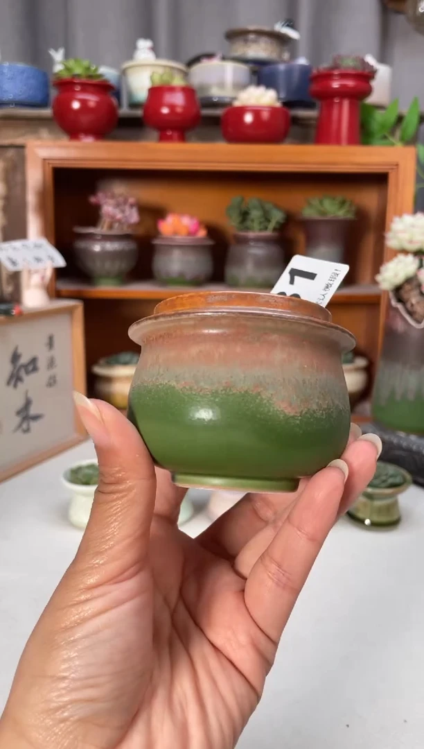 瓷片131小芳花盆直播编号