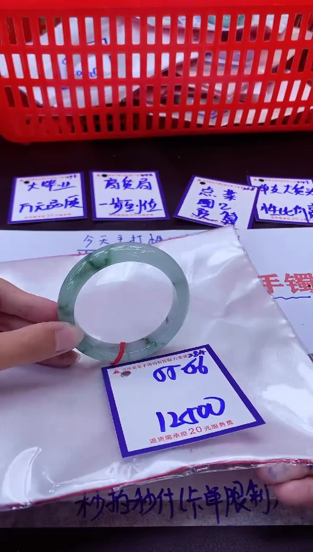 未镶嵌手镯翡翠11111111