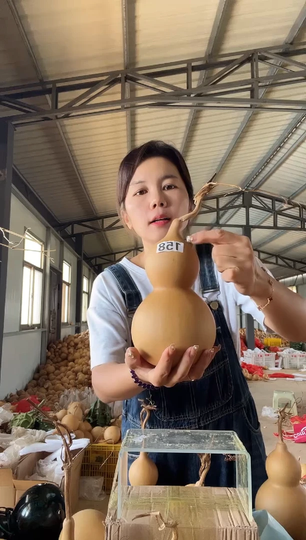 158天然葫芦摆件 一物一拍龙头不保售后