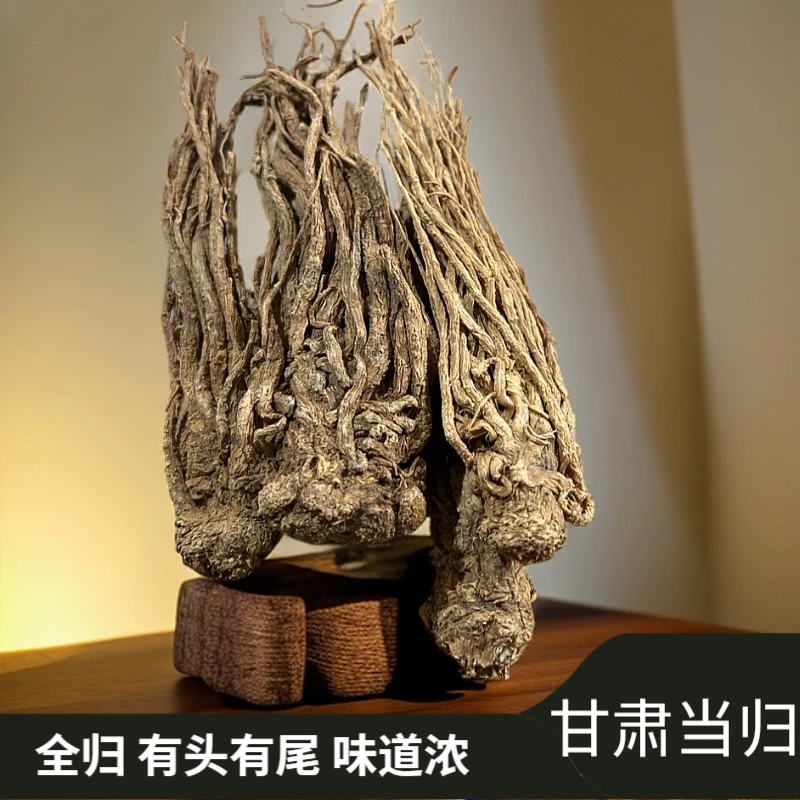 【小莫推荐】当归 甘肃 250g起