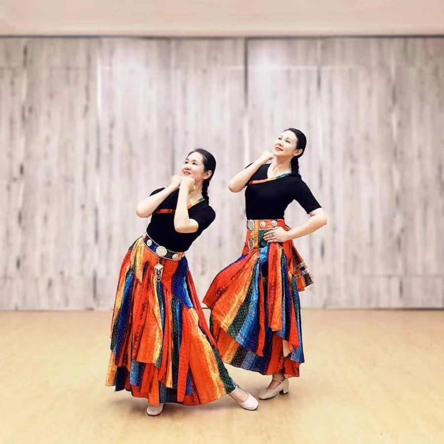 藏族半身裙藏式民族风舞蹈演出服装女练功服艺考臧族上衣