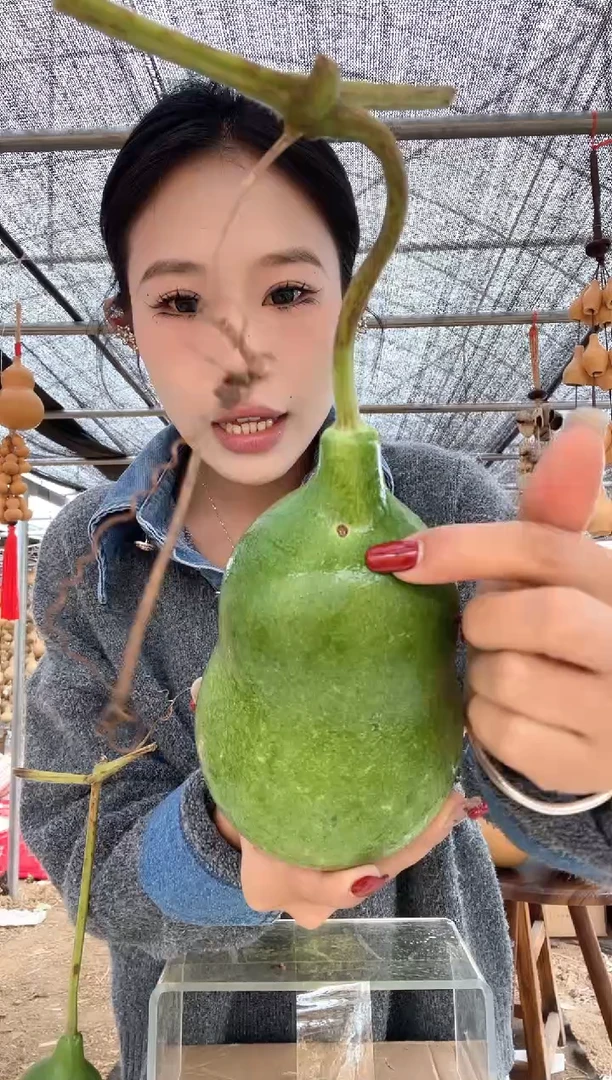 866天然葫芦摆件 一物一拍龙头不保售后微瑕疵