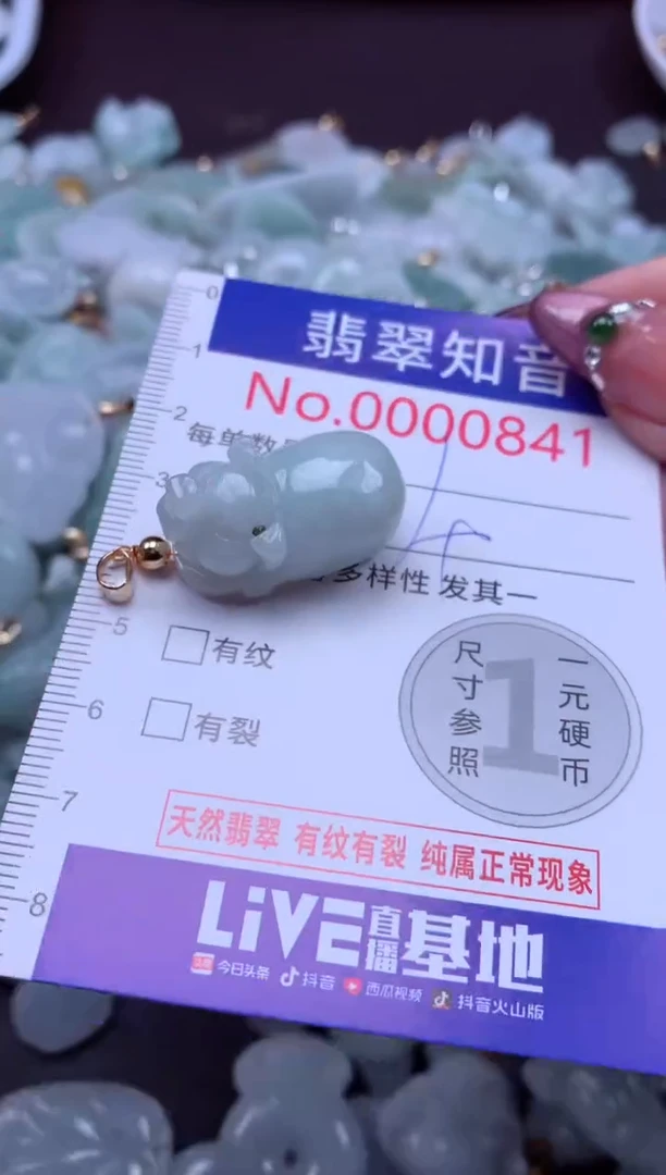 吊坠(不含链)未镶嵌翡翠841