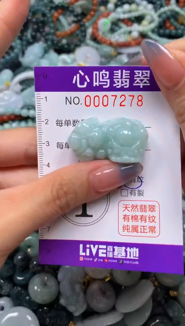 颈饰未镶嵌翡翠闪购007278