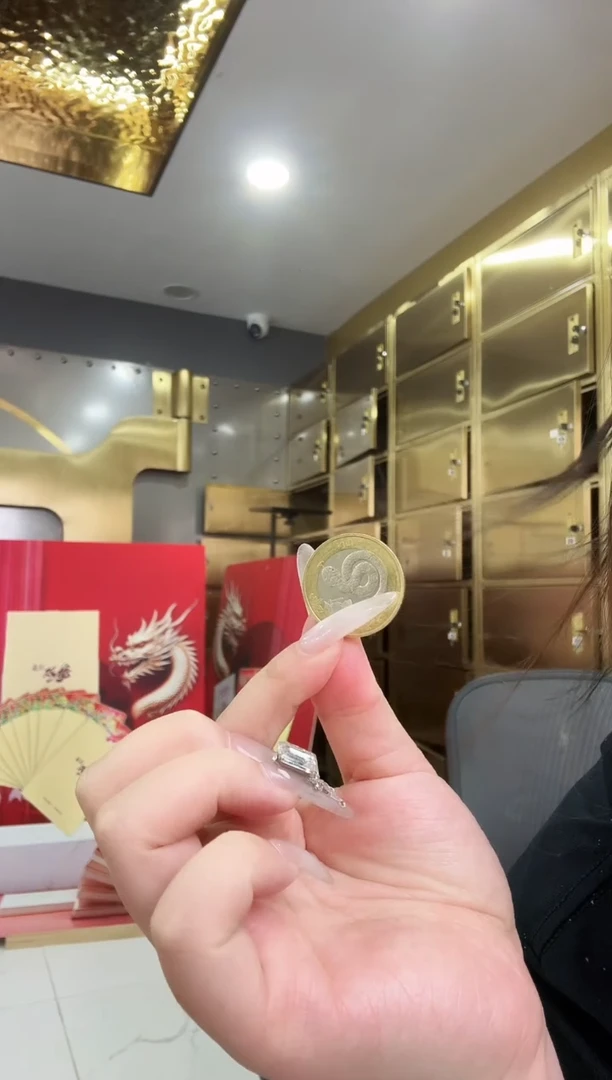 其他普通金属蛇年生肖纪念币单枚不挑