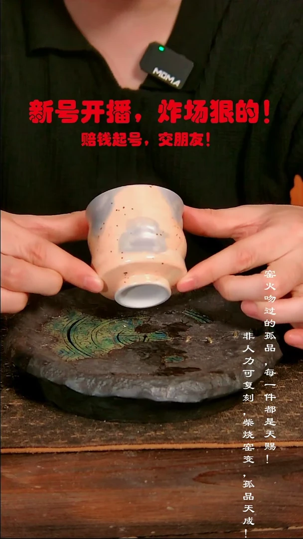 550【溯本】瓷片****瓷片