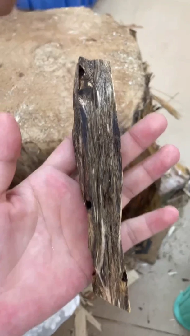 沉香沉香碎屑棋楠沉香 原料文创1