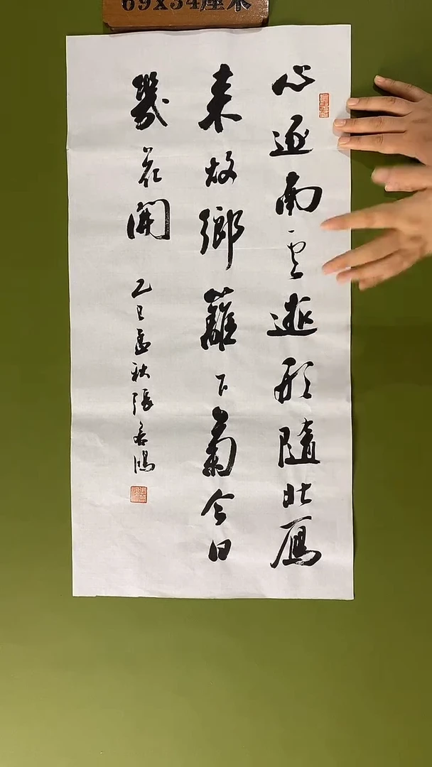 书法书法 张若鸿 尺寸69cm*34cm