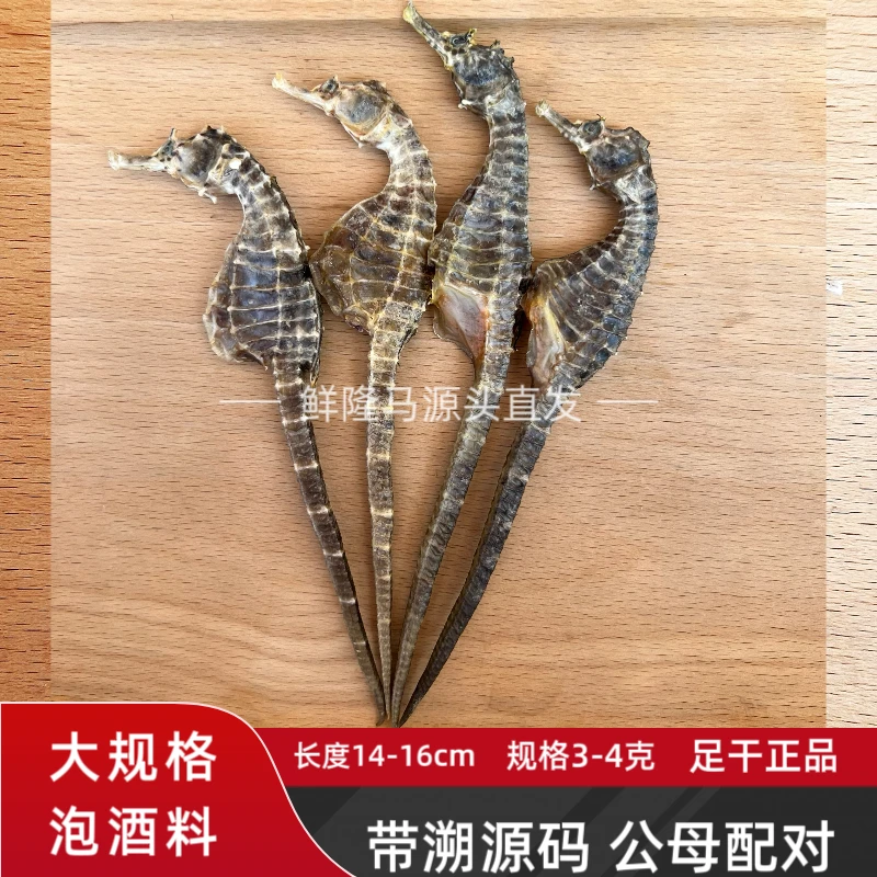 【正品】海鱼干马馬生晒足干蓝标溯源大规格泡酒煲汤料茶 人工取直