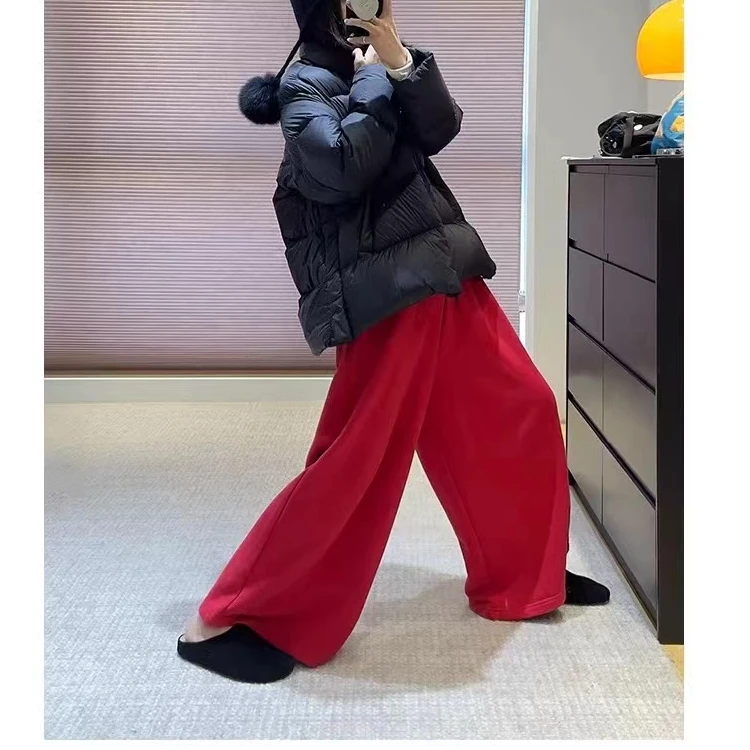 冬季立领高级感百搭蓬松短款羽绒服 H2688