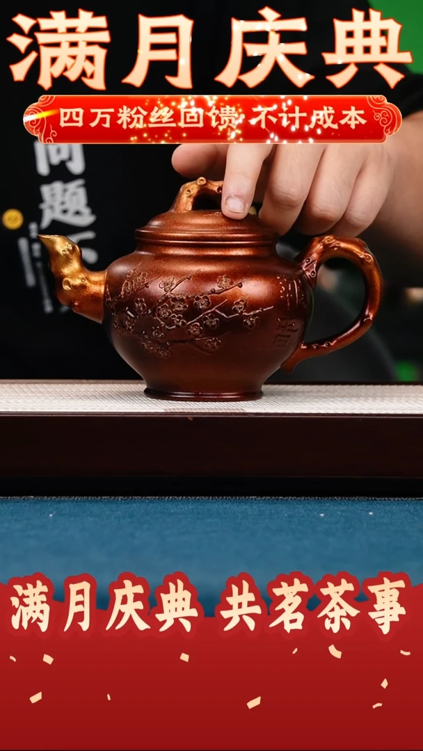 报春 明朝土 梅花